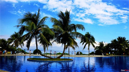 仙草南路烧仙草