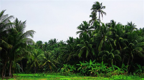 山城辣娇老火锅