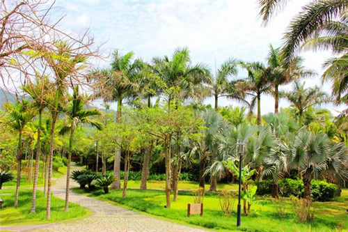 电动车头盔十大品牌排行榜