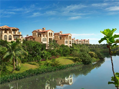 阿胶糕哪个品牌值得买
