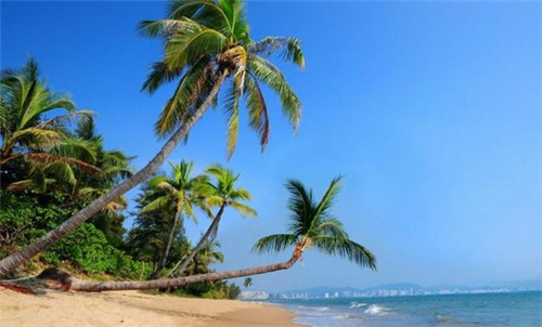 加盟一品煌焖锅开店以后好不好经营，2025加盟一品煌焖锅还有前景吗