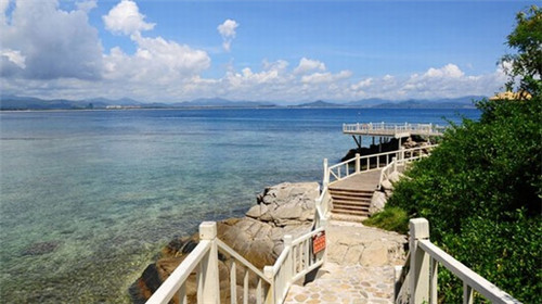 七台河市有什么好的貂皮大衣加盟品牌，七台河有收貂的地方吗