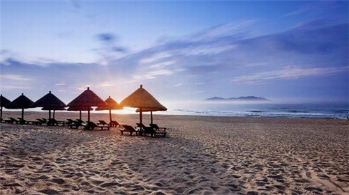 除虫代理加盟费多少，专业除虫机构