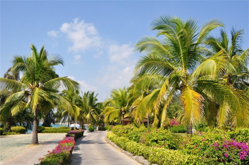 凹串串加盟人气高不高