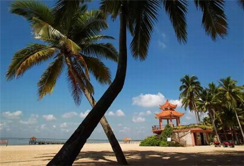 中国为什么没有俄罗斯汽车品牌（为什么买不到俄罗斯车）