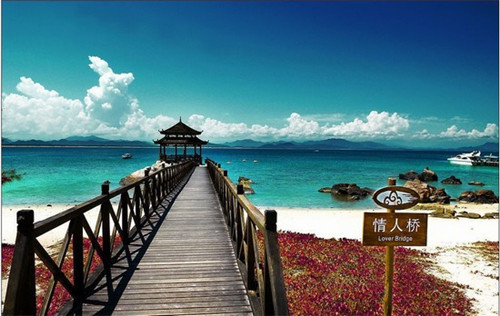 沈阳市百鸟公园是几a景区（沈阳市百鸟公园是几a景区啊）