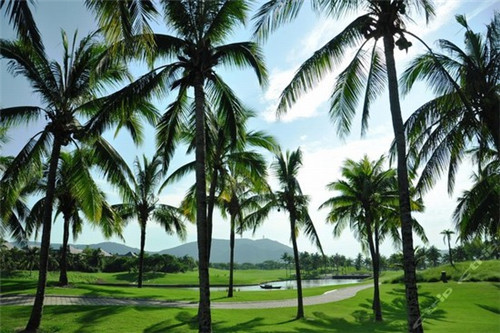 太古周围有什么好玩的景点（太古旅游）